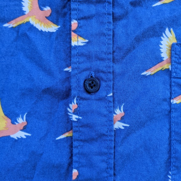 Quiksilver Button Up Shirt Parrots Modern Fit Blue - Picture 2 of 11